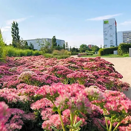 Akzent Congresshotel 4*